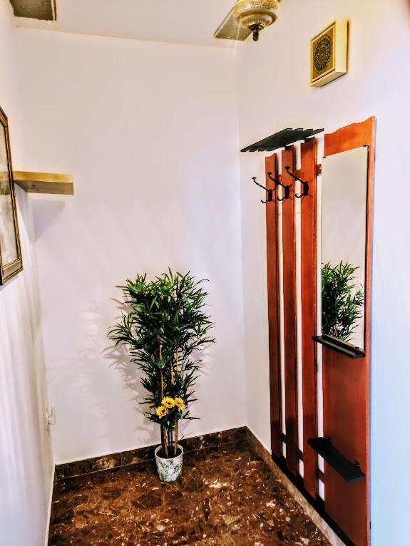 Apartmani Mila A1 & A2 & 3 Trogir Eksteriør bilde